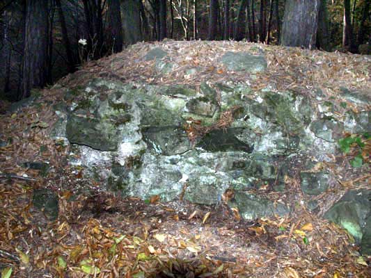Zbytky hradu 4