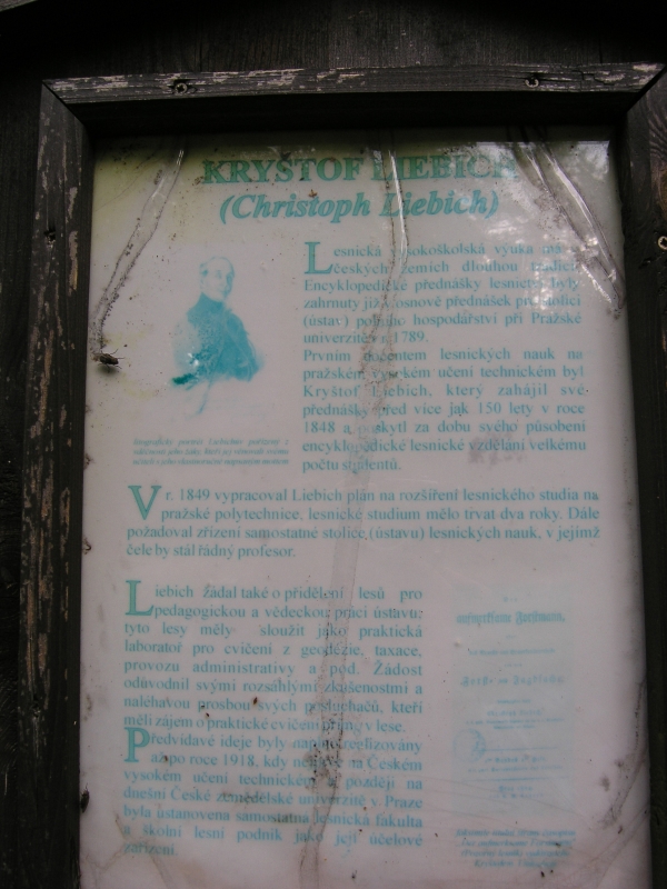Kryštov Lieblich